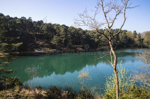 美丽的充满生机的风景影像关于老的黏土井采石场湖winter冬天