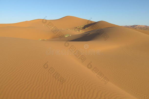 沙沙漠沙丘采用撒哈拉沙漠