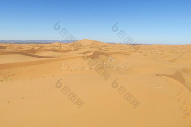 沙沙漠沙丘采用撒哈拉沙漠