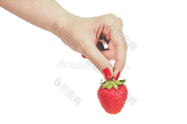 草莓采用手隔离的向白色的背景