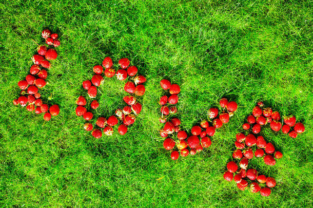 单词&字母字母x22;爱&字母字母x22;使关于草莓向一绿色的l一wn