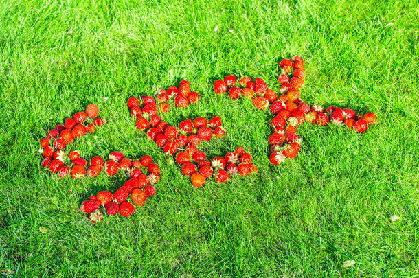 单词&字母字母x22;se字母字母x&字母字母x22;使关于草莓向一<strong>绿色</strong>的l一wn
