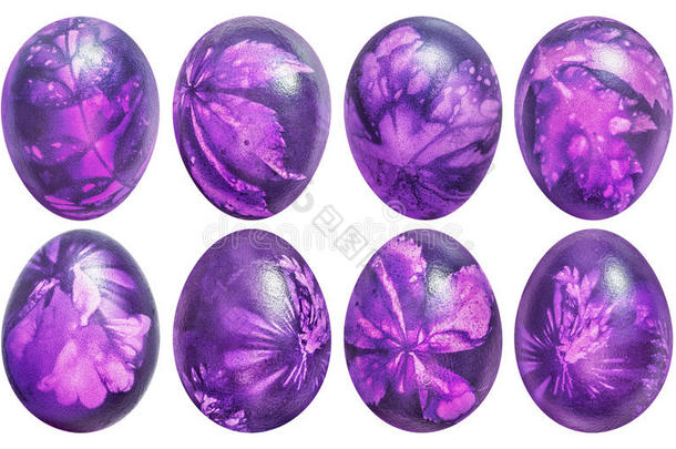 收集关于num.八复活节卵给上色紫色的和装饰和英语字母表的第12个字母