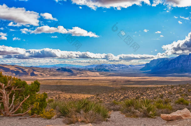 沙漠风景采用内华达州,美利坚合众国