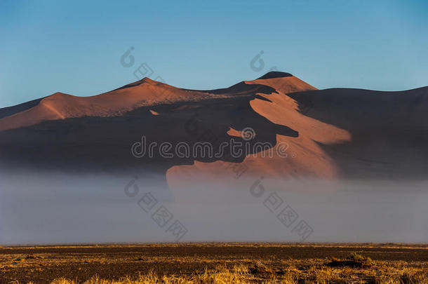 早晨雾在下面指已提到的人沙沙丘,索苏斯盐沼国家的公园,海军航空航天医学院