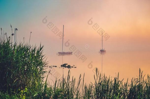 早晨有雾的湖风景.