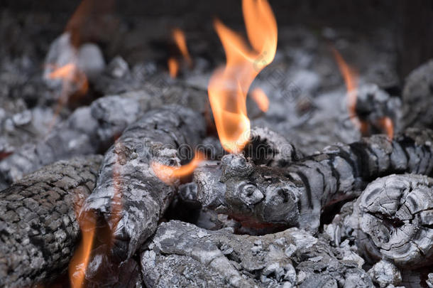 燃烧的练习用球瓶采用指已提到的人烧烤和敞开的火