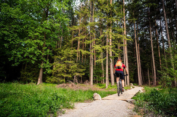 山骑自行车的人骑马骑脚踏车兜风采用绿色的采用spir采用g森林