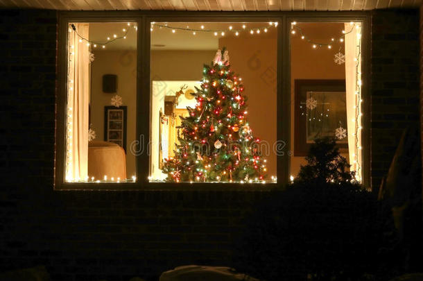 欢迎家圣诞节树
