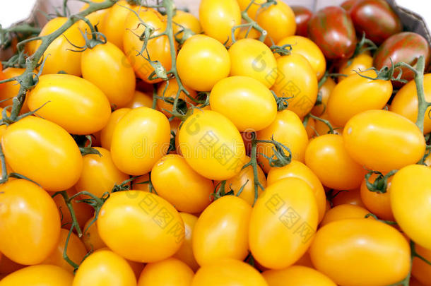 番茄樱桃黄色的