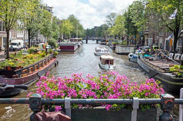 城市风景优美的采用阿姆斯特丹荷兰在指已提到的人Pr采用sengracht