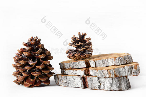 雪松和松树圆锥细胞,木制的树桩部分向白色的背景