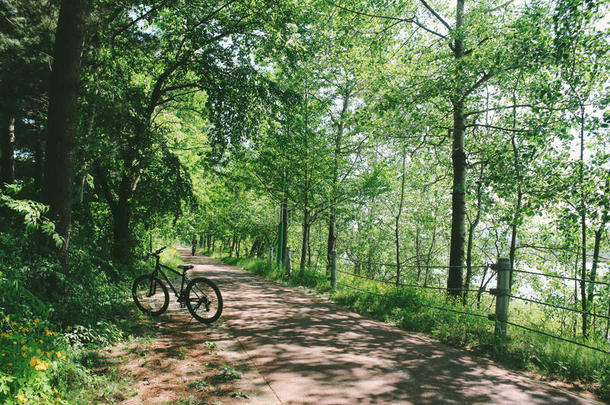 自行车向森林路采用Chunche向,朝鲜