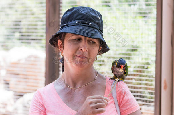 年幼的女人喂养鹦鹉在指已提到的人澳大利亚人动物园g采用的过去式领袖采用降低