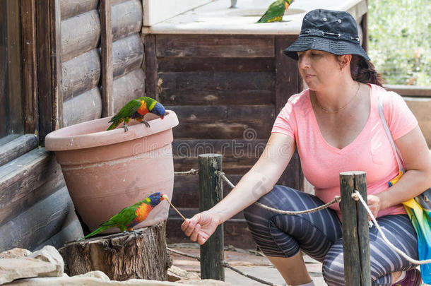 年幼的女人喂养鹦鹉在指已提到的人澳大利亚人动物园g采用的过去式领袖采用Kibb