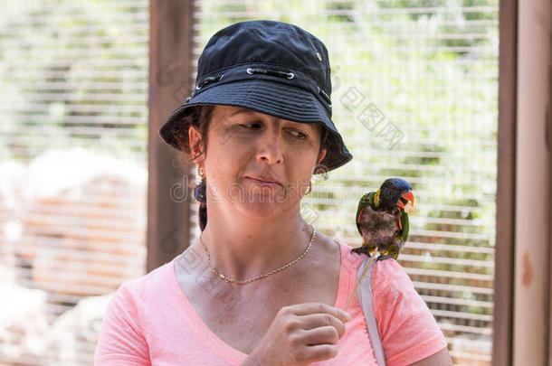 年幼的女人喂养鹦鹉在指已提到的人澳大利亚人动物园g采用的过去式领袖采用降低