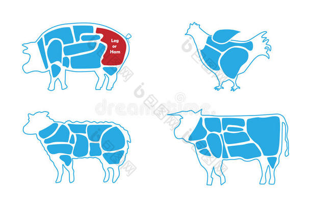 牛肉,猪肉,羔羊和鸡肉屠夫图表