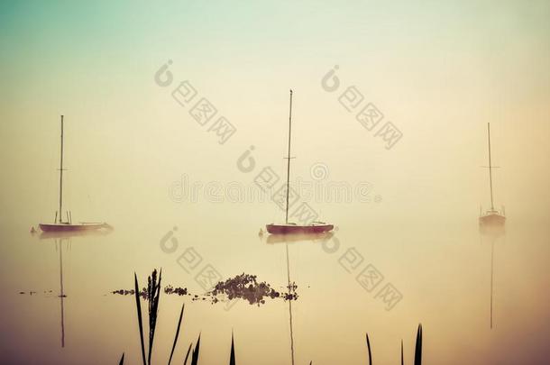 早晨有雾的湖风景.