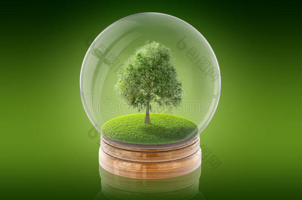 透明的球球和树向草里面的.3英语字母表中的第四个字母翻译.