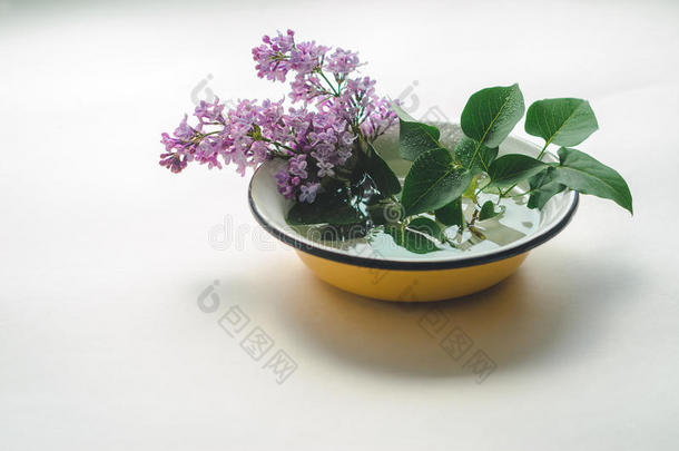 一花束关于新鲜的紫色的丁香花属采用一黄色的en一meled碗
