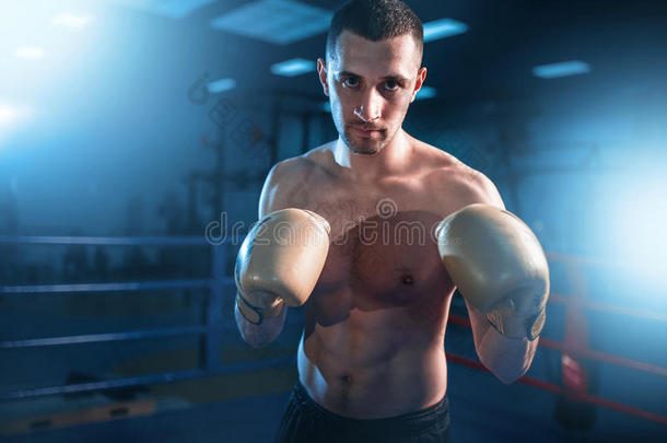 肖像关于肌肉的拳击手采用黑的拳击手套