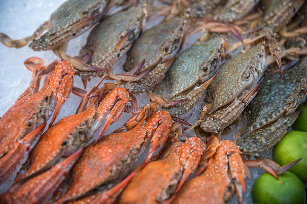 新鲜的生的<strong>花蟹</strong>在海产食品交易