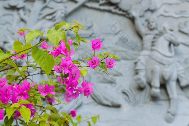 花和中国建筑学详述