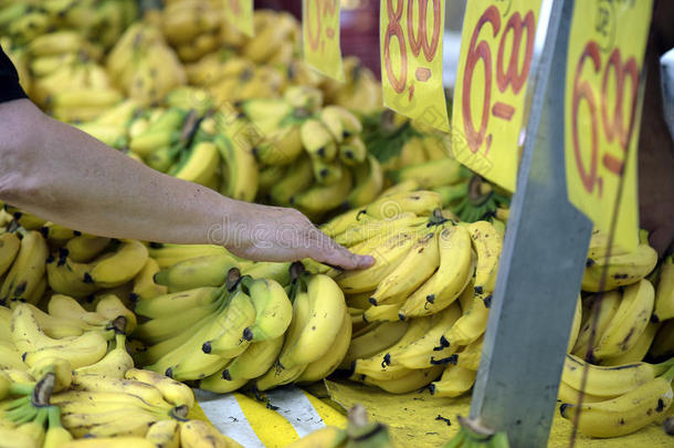 消费者仔细检查香蕉采用敞开的-天空交易货摊