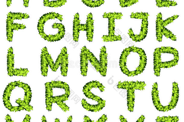 字母表设计采用绿色的树叶