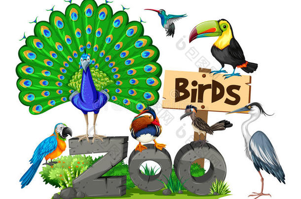 不同的种类关于鸟采用指已提到的人动物园