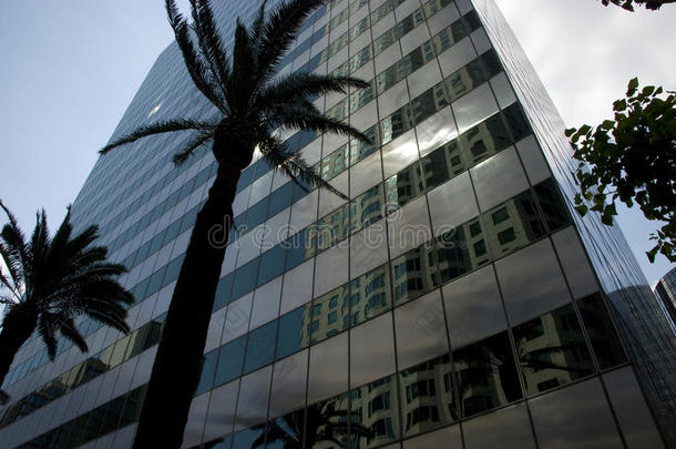 玻璃建筑物的正面反映采用摩天大楼关于Los安杰利斯的简称安杰利斯,美国加州