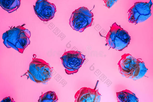 装饰使关于干燥的玫瑰花.玫瑰背景