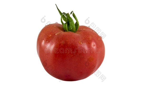 红色的番茄隔离的向白色的背景照片.美丽的照片