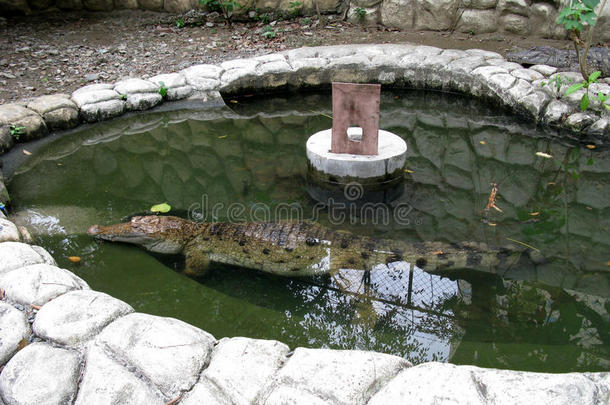 鳄鱼公园,马尼拉麻动物园,马尼拉麻,菲律宾