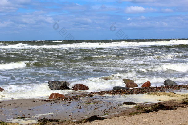波罗的海的海海滩采用有暴风雨的天气和海波