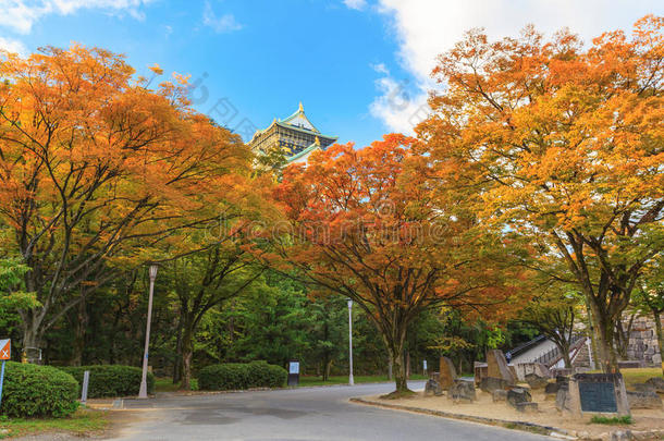 美丽的关于大阪城堡采用大阪城市和秋树叶海索