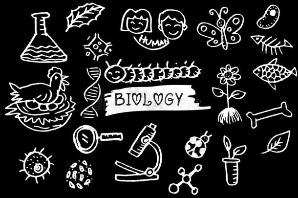 手草图关于生物学.