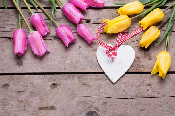 装饰的白色的心和明亮的粉红色的和黄色的春季郁金香