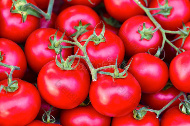 番茄背景.健康的吃红色的成熟的生的蔬菜番茄