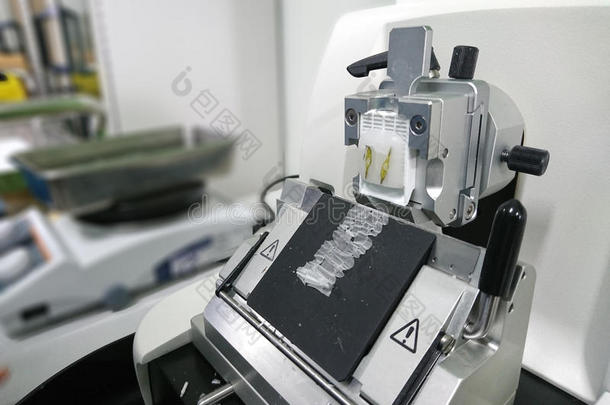旋转的显微镜用薄片切片机部分