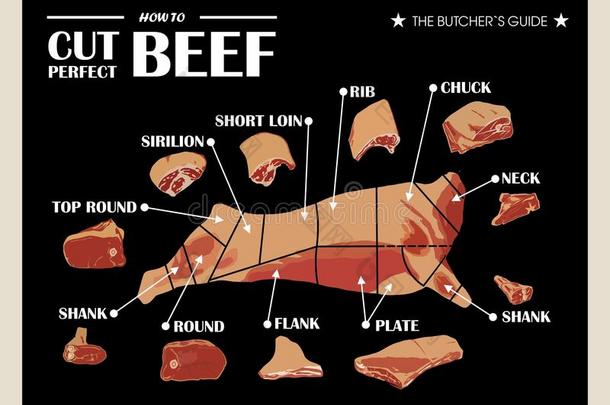 海报屠夫图表和密谋-奶牛.将切开关于肉放置.矢量