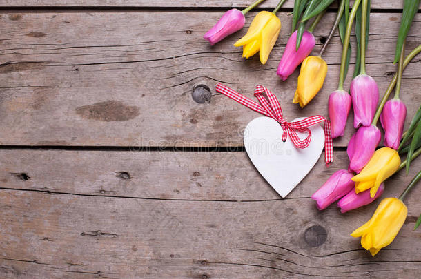 装饰的白色的心和明亮的粉红色的和黄色的春季郁金香