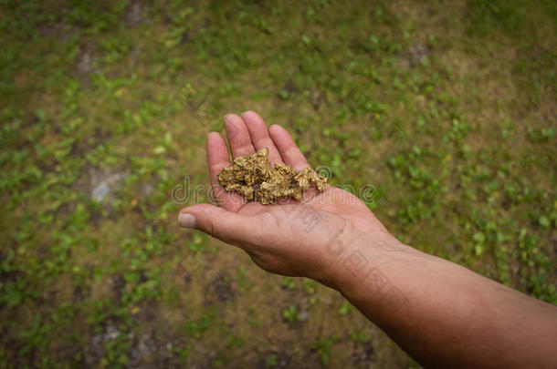 一男人是（be的三单形式佃户租种的土地一大的金块金采用h是（be的三单形式h一nd