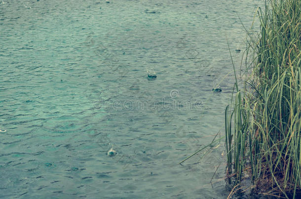 雨落下向湖表面.