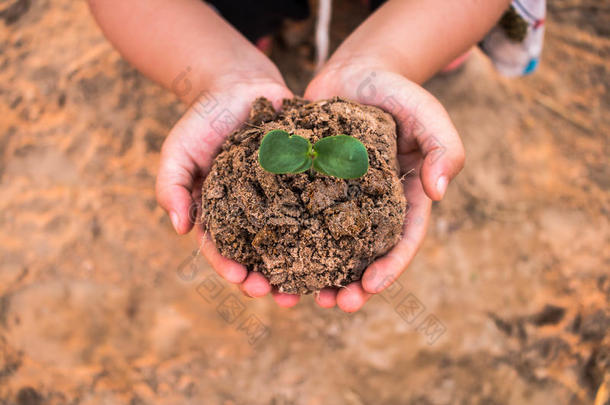 孩子们种植森林向减少全球的准备动作的.