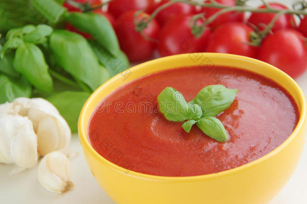 蔬菜番茄汤和组成部分为烹饪术-番茄es,Gobon蓬