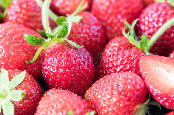 草莓.红色的草莓.草莓采用不同的职位.