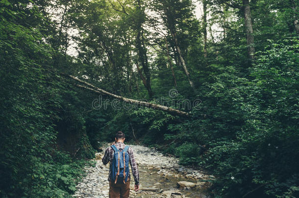 远足者男人步态一起口关于山河采用深的森林,关于