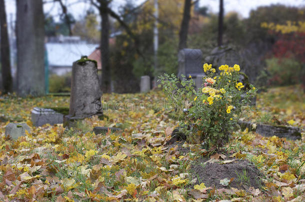 维尔纽斯,立陶宛-九月29,2016:老的墓地采用维尔纽斯