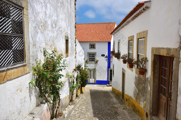 采用指已提到的人大街关于指已提到的人美丽的城镇关于奥比杜什,<strong>葡萄牙</strong>